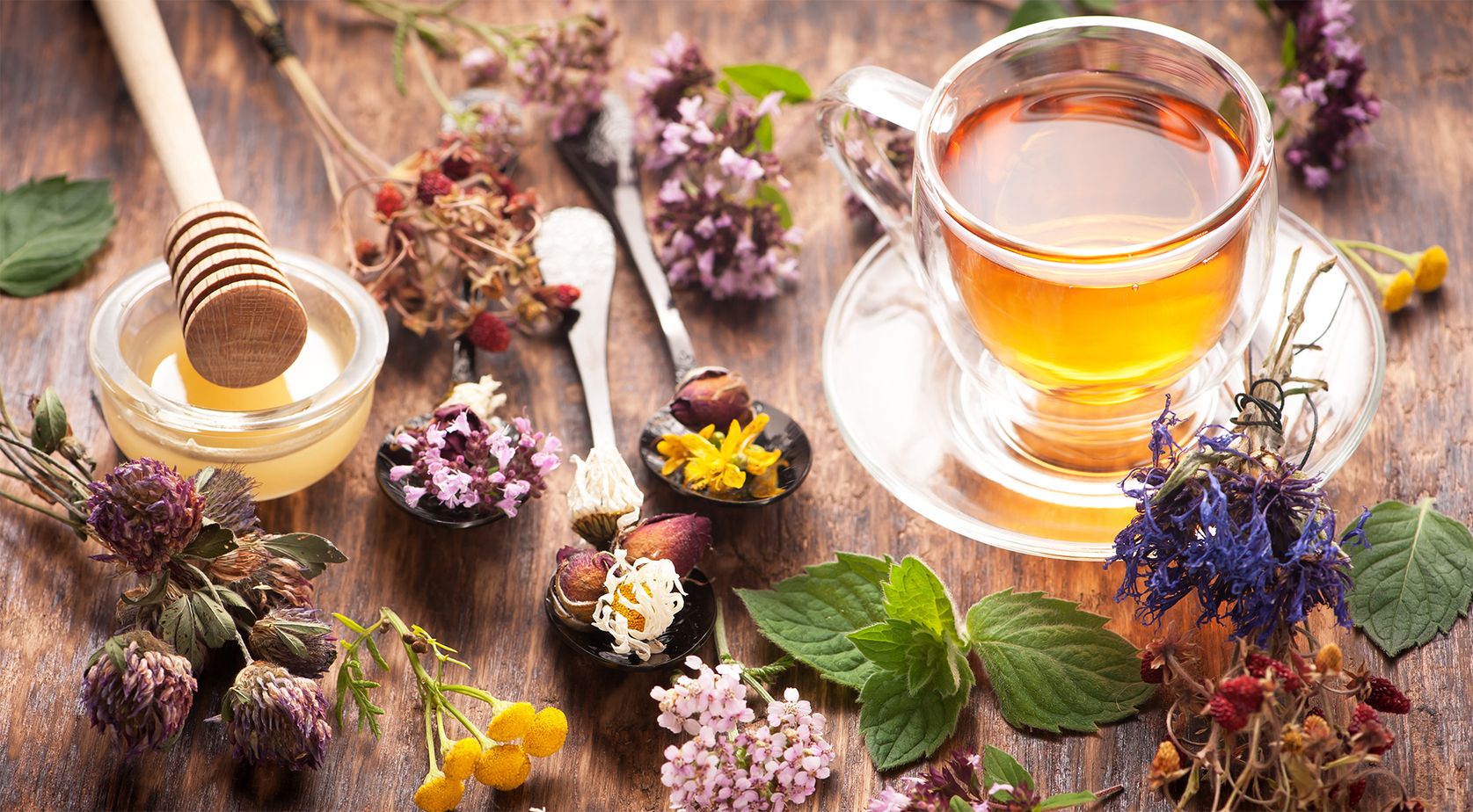 Eine Tasse Tee mit Honig und verschiedenen getrockneten Blumen und Kräutern